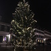Weihnachtsbaum auf dem Münsterplatz - unserem Ziel!! Jetzt ein Glühwein!!!!