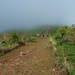 Abstieg zur Thuchila Tourist Lodge, das Ende unseres Trekkings