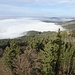 Nebelmeer im Nordwesten