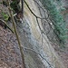 Der Weg zur Täuferhöhle ist über diesem Abgrund mit einem Holzhag abgesichert