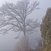 Gässli bei Ferenberg - seltsam im Nebel zu wandern ...
