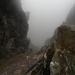 schöne Nebelbank im Abstieg