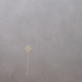Die gelben Rauten  vom Schneeschuh-Trail sind auch im Nebel wertvoll.