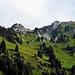 Anfang September hat es noch saftige Wiesen auf den Alpen.