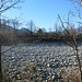 die Maggia mit wenig Wasser