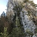 Griffiger Fels und karge Bäume, typisch für die Arrête de Raimeux