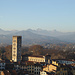 Blick vom Torre Guinigi 