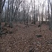 Parte terminale della salita all'anonima cima del Monte Mondonico...