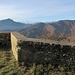 Monarco.
