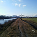 Rietbrücke Diepoldsau