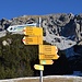 Auf geht's zum Schönberg (im Hintergrund Gamsgrat).