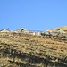 Alpe di Mezzegra