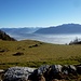 Obetweid - Blick ins Rheintal und ins Vorarlberg