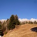 Start auf 974m ü.M. - Vorder Schwendi. Blick auf die imposante SO-Kette des Alpsteins.