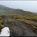 Aufstieg, Nähe Rinderläger.<br /><br /><b>Im Nebel ruhet noch die Welt,<br />Noch träumen Wald und Wiesen:<br />Bald siehst du, wenn der Schleier fällt,<br />Den blauen Himmel unverstellt,<br />Herbstkräftig die gedämpfte Welt<br />In warmem Golde fließen.<br /><br />© by Eduard Mörike</b>