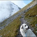 Beim Aufstieg, etwas unterhalb der Wildseeluggen.