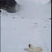 Auf dem Pizolgletscher. Selbst mein Hund macht sich Gedanken über den Nebel...<br /><br /><b>Wissen wäre fatal. Die Ungewissheit ist es, die uns reizt. Ein Nebel macht die Dinge wunderschön.<br /> <br />© by Oscar Wilde</b>