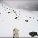 Auf dem Pizolgletscher, kurz unterhalb des Pizolsattels.<br /><br /><b>Nebel dämpft Kontur und Töne,<br />Spielraum für die Fantasien.<br />Es verbirgt sich hier das Schöne<br />Gleichsam hinter Jalousien.<br /><br />Mittagsnahe Sonnenstrahlen<br />Lösen Nebelschleier auf,<br />Ein Gedankenbild zu malen <br />Liefe jetzt in leerem Lauf.<br /><br />© by Ingo Baumgartner</b>
