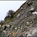 Im Schneeflucht Gebiet (wobei mein Hund auch später kein Feuer gefangen hat!).<br /><br /><b>Ein Nebel hat die Welt so weich zerstört.<br />Blutlose Bäume lösen sich in Rauch.<br />Und Schatten schweben, wo man Schreie hört.<br />Brennende Biester schwinden hin wie Hauch.<br /><br />© by Alfred Lichtenstein, 1913</b>