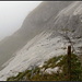 Talwärts oberhalb Tersolbach (Sean Connery hinter dem nächsten Rank vermutend...).<br /><br /><b>Herbsttag im Nebel<br />mystisch und graziös<br />freudiges Sein im Inneren<br /><br />Erwachen im Glück<br />bedingungslos zufrieden<br />verliebt ins Leben<br /><br />Was für Tage<br />von Überraschungen voll<br />tief gerührt (und nicht geschüttelt)<br /><br />© by Patrick Looser, 2006</b>