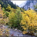 Herbstlich gefärbte Laubbäume bei Gigerwald.<br /><br /><b>Nun ziehen Nebel, falbe Blätter fallen, <br />Öd alle Stellen, die uns oft entzücket! <br />Und noch einmal tief' Rührung uns beglücket, <br />Wie aus der Flucht die Abschiedslieder schallen. <br /><br />Wohl manchem blüht aus solchem Tod Gefallen: <br />Daß er nun eng ans blühnde Herz gedrücket, <br />Von roten Lippen holdre Sträuße pflücket <br />Als Lenz je beut mit Wäldern, Wiesen allen. <br /><br />Mir sagte niemals ihrer Augen Bläue: <br />„Ruh auch aus! Willst du ewig sinnen?“ <br />Und einsam sah ich so den Sommer fahren. <br /><br />So will ich tief des Lenzes Blüte wahren, <br />Und mit Erinnern zaubrisch mich umspinnen, <br />Bis ich nach langem Traum erwach im Maie.<br /><br />© by Joseph Karl Benedikt Freiherr von Eichendorff <br /><br /></b>