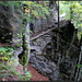 Waldweg mit Brücke, vor dem Städeli bei Vättis.<br /><br /><b>Und die gelben Blätter fallen sacht<br />auf die Pfade, die mein Fuß betritt;<br />und ein jedes lockt zur Mutter Nacht<br />meine müde, müde Seele mit.<br /><br />© by Gerhart Hauptmann</b>