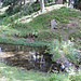 Trinkwasser-Speichersee bei Tomebine