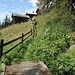 Im Aufstieg vor Tomebine - Foto von Dagmar