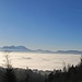 Bei der Fahrt vom Bödele nach Dornbirn runter ließ sich das Eintauchen in die Nebelsuppe nicht vermeiden