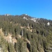 Zäwasheilspitz von der Sattelalpe