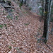 At the start of the hike. Leaves, leaves, leaves...