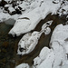 Wasser und Schnee im Tobel des Goldinger Bachs