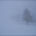 nebbia
