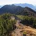 Cresta Monte Iron