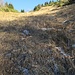 Ripida discesa su paglione per Bevera