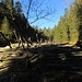 Val Manez