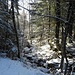 im unteren Abschnitt des Wegs durch Fadratza läuft man auf einem Rücken zwischen 2 wilden Bergbächen im Wald - mein Lieblingsabschnitt