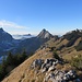 ein feiner Ausblick beim Gipfelkreuz:
zwischen Tier- und Chöpfenberg erheben sich aus dem Dunst Rigi Kulm, Wildspitz sowie Chli und Gross Aubrig ...