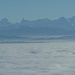 über dem Nebel: Berner-Riesen