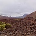 Hochebene des Parque Nacional del Teide.