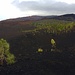Teil des Parque Nacional del Teide.