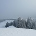 Aus dem Obertoggenburg treibt der Ostwind unaufhörlich Nebelschwaden herein. Hier ginge es Richtung Tanzboden weiter