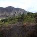 Das Valle del Gigante ist ein Tal, das sich beim Pompeji-Ausbruch von 79 n.Chr. gebildet hat. Eigentlich bildet der heutige Vulkankegel des Vesuvs nur einen kleinen Kegel inmitten der viel größeren Caldera des [https://de.wikipedia.org/wiki/Monte_Somma Monte Somma]. Die Wände im Hintergrund sind die Überreste dieses "alten" Vulkans.