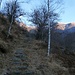 Sehnsüchtig schaue ich auf die besonnten Berge