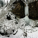 Bachtobel im Lippenrüti-Wald bei Neuenkirch.