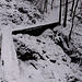 Unterwegs zum Sulzigbachfall.