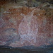 Arte rupestre aborigena: tartaruga collo-di-serpente