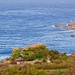 Ein tolles Anwesen direkt am Meer bei Punta del Hialgo.