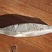 <b>Pietra cote utilizzata per affilare la falce, proveniente dal calcare del Monte Generoso (11 cm).</b>