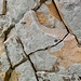 Detailaufnahme im Aufstieg auf den Risco Blanco vom Gestein.